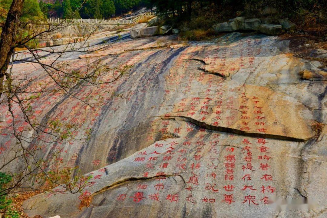 奔跑吧兄弟6